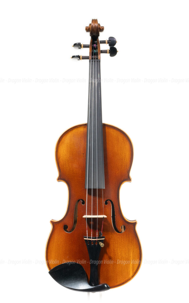 日本小提琴，日本工作坊 2023 - dragonviolin.com